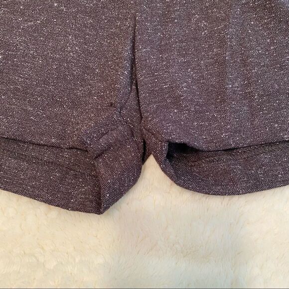 NWT Daisy Fuentes English Heritage Brown Shorts Size 10 - Picture 8 of 8